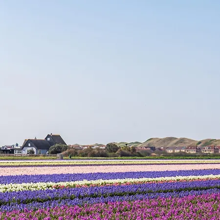37 - Aan De Duinen, Aan Zee * Callantsoog