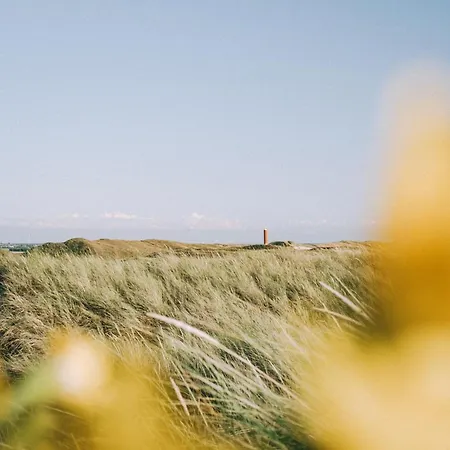 37 - Aan De Duinen, Aan Zee * Callantsoog