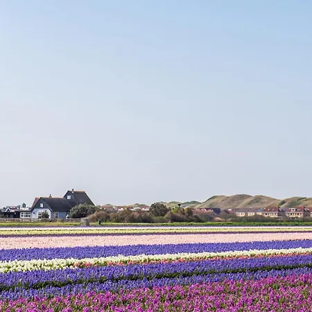 37 - Aan De Duinen, Aan Zee Appartement