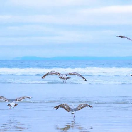 아파트 37 - Aan De Duinen, Aan Zee *