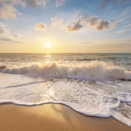 아파트 37 - Aan De Duinen, Aan Zee *