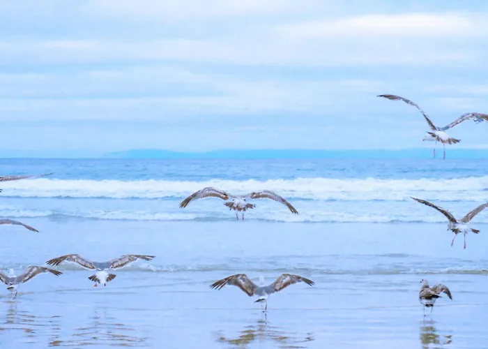 아파트 37 - Aan De Duinen, Aan Zee *